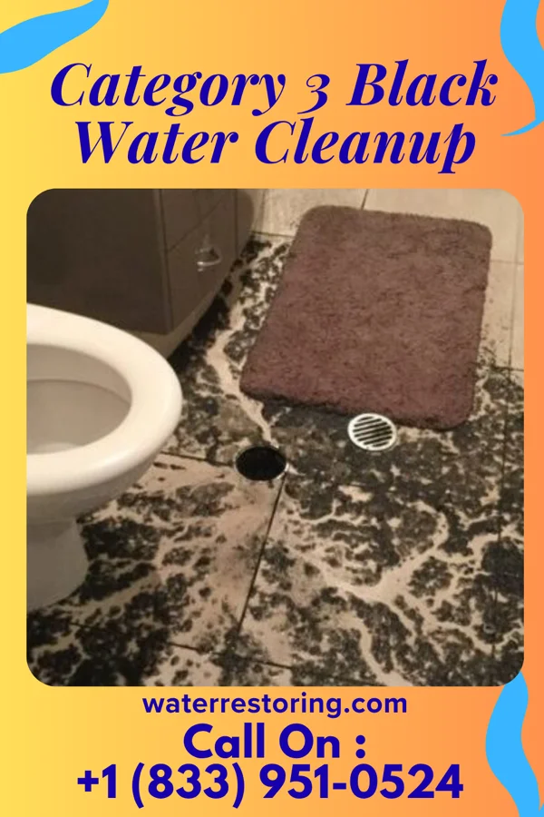 Category 3 Black Water Cleanup in Lincolnshire, KY