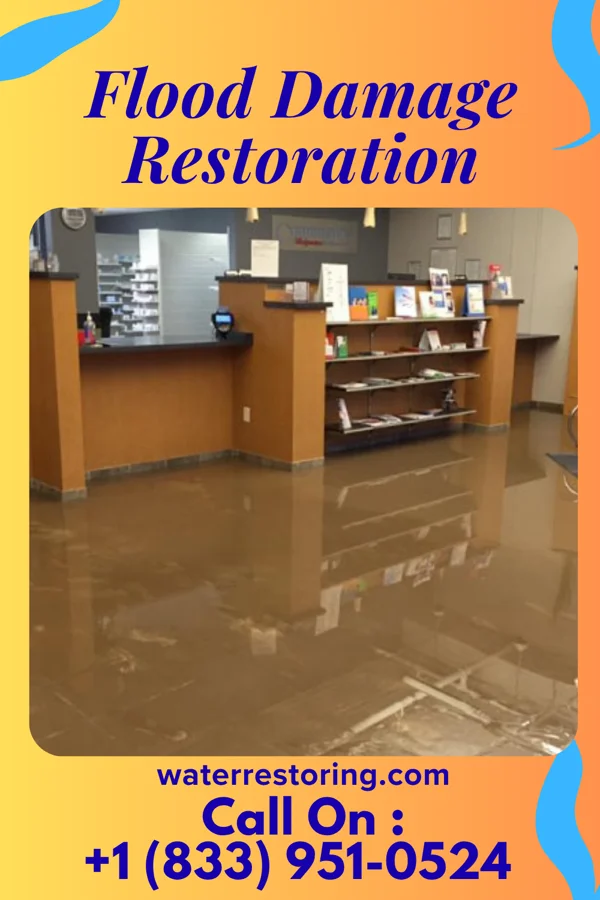 Flood Damage Restoration in Lincolnshire, KY