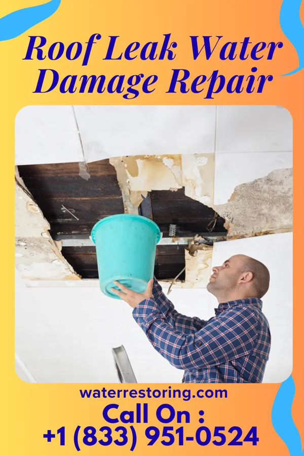 Roof Leak Water Damage Repair in Lincolnshire, KY