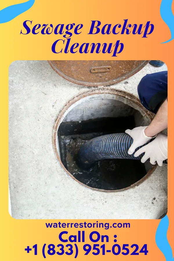 Sewage Backup Cleanup in Lincolnshire, KY