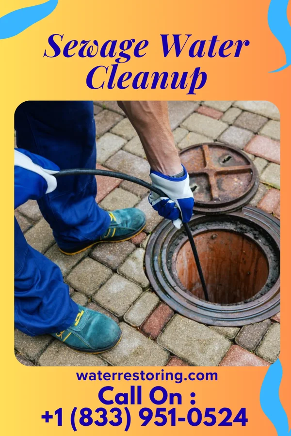 Sewage Water Cleanup in Lincolnshire, KY