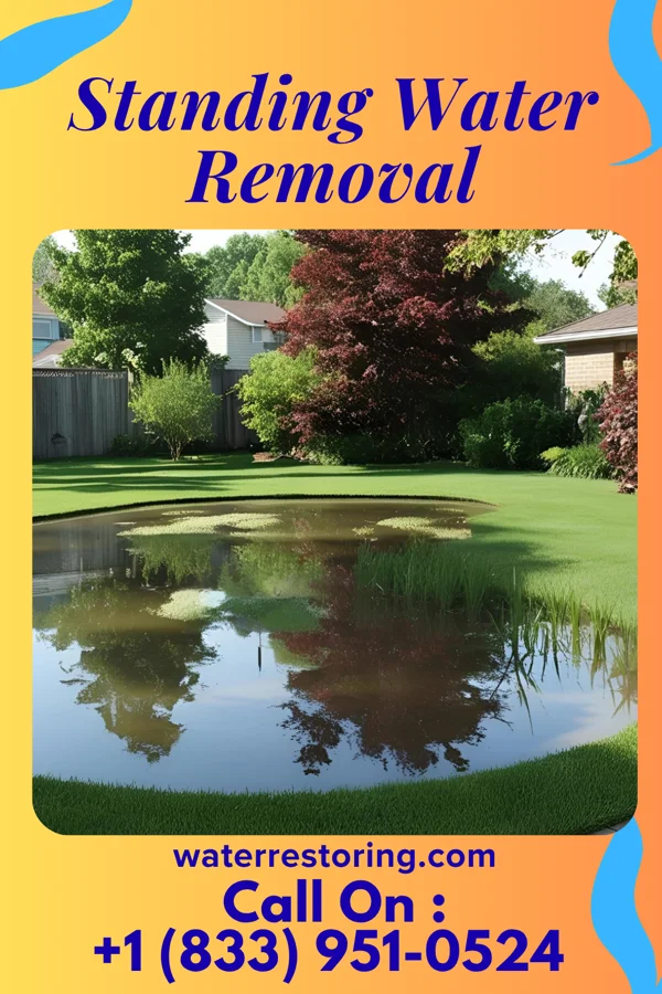 Standing Water Removal in Lincolnshire, KY